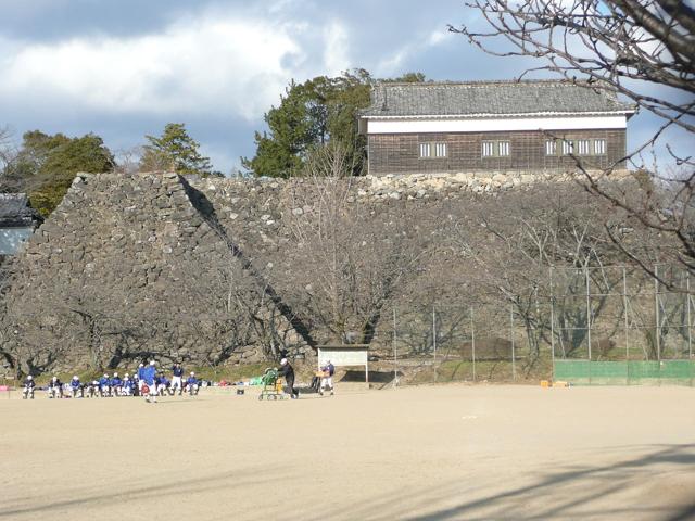 Kameyama Castle